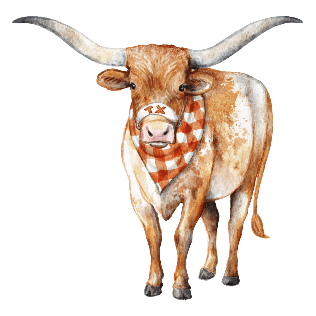 Longhorn Door Hanger