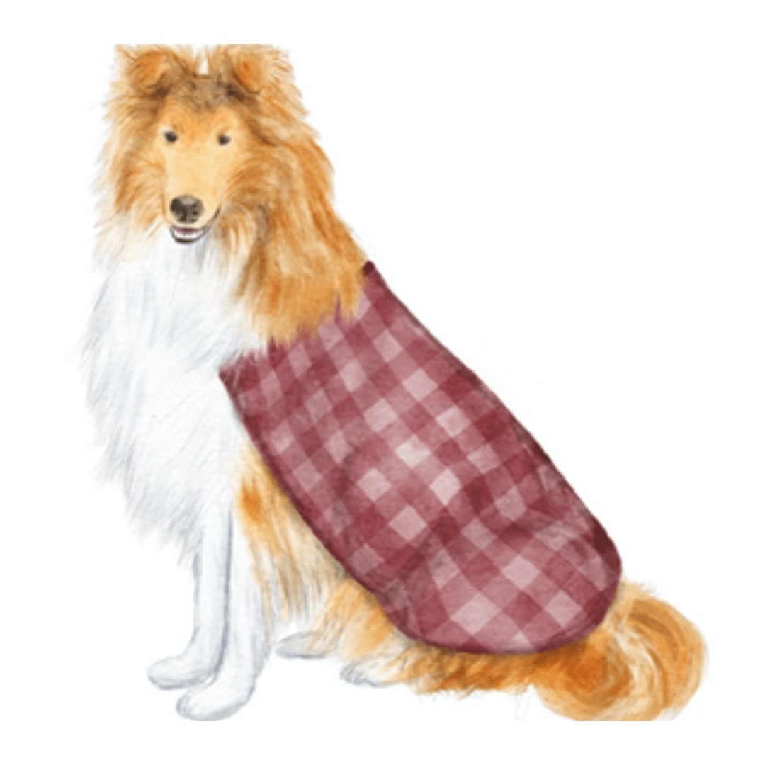 Collie Swizzle Sticks