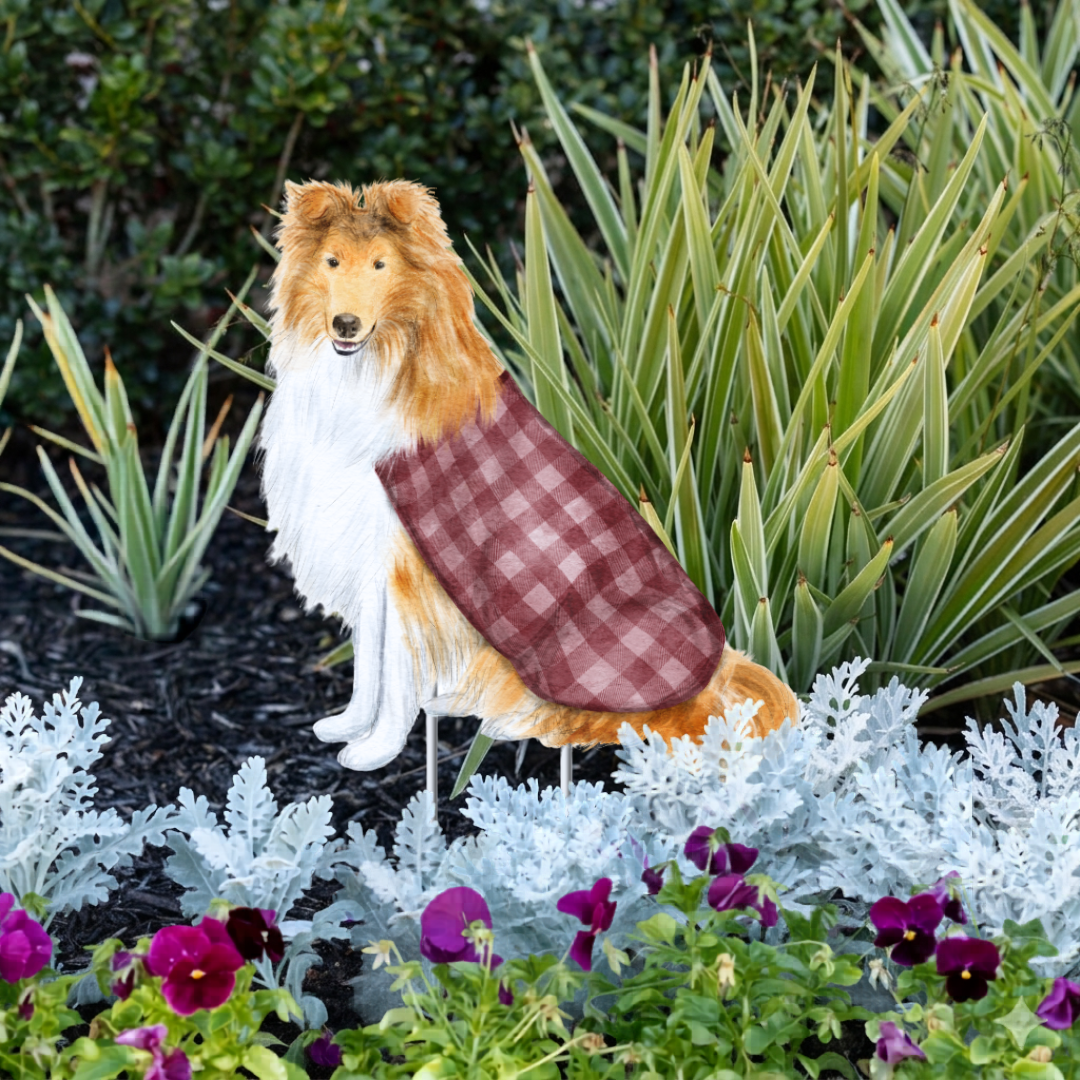 Collie Garden Stake
