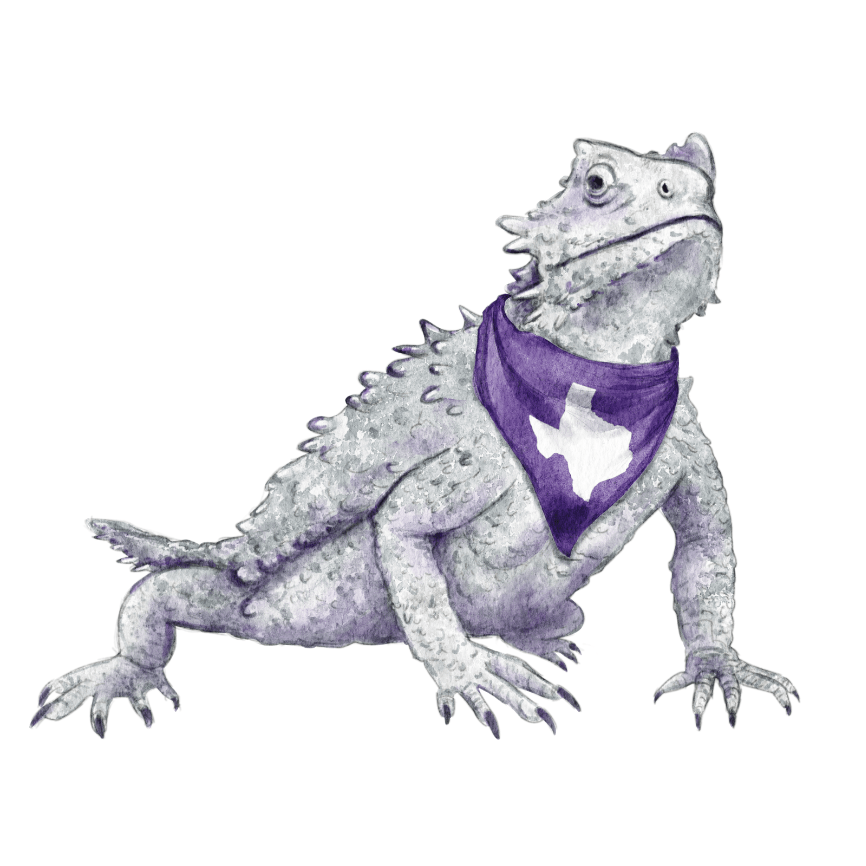 Frog Acrylic